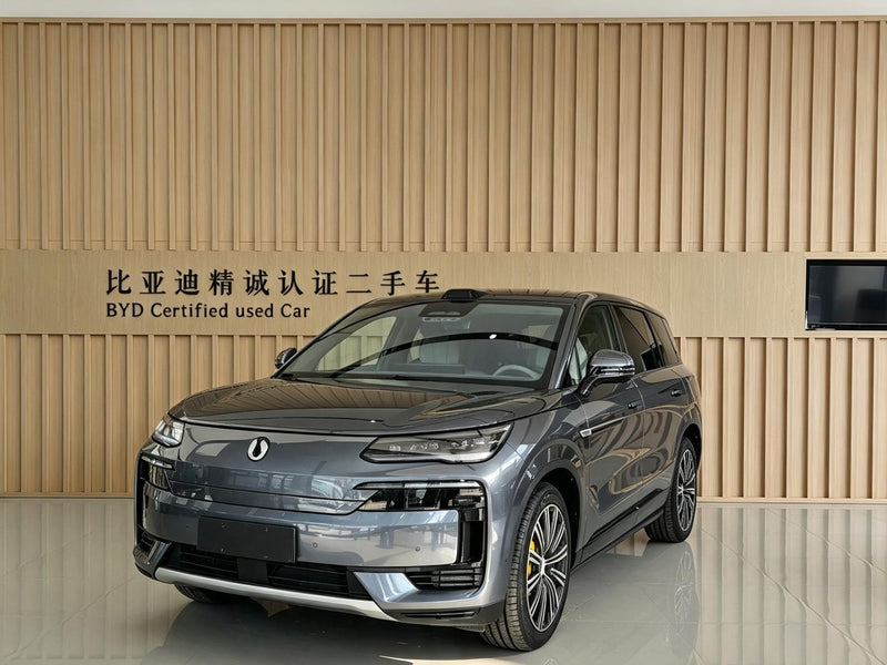 DENZA N9 DM 2025 Insignia — 1