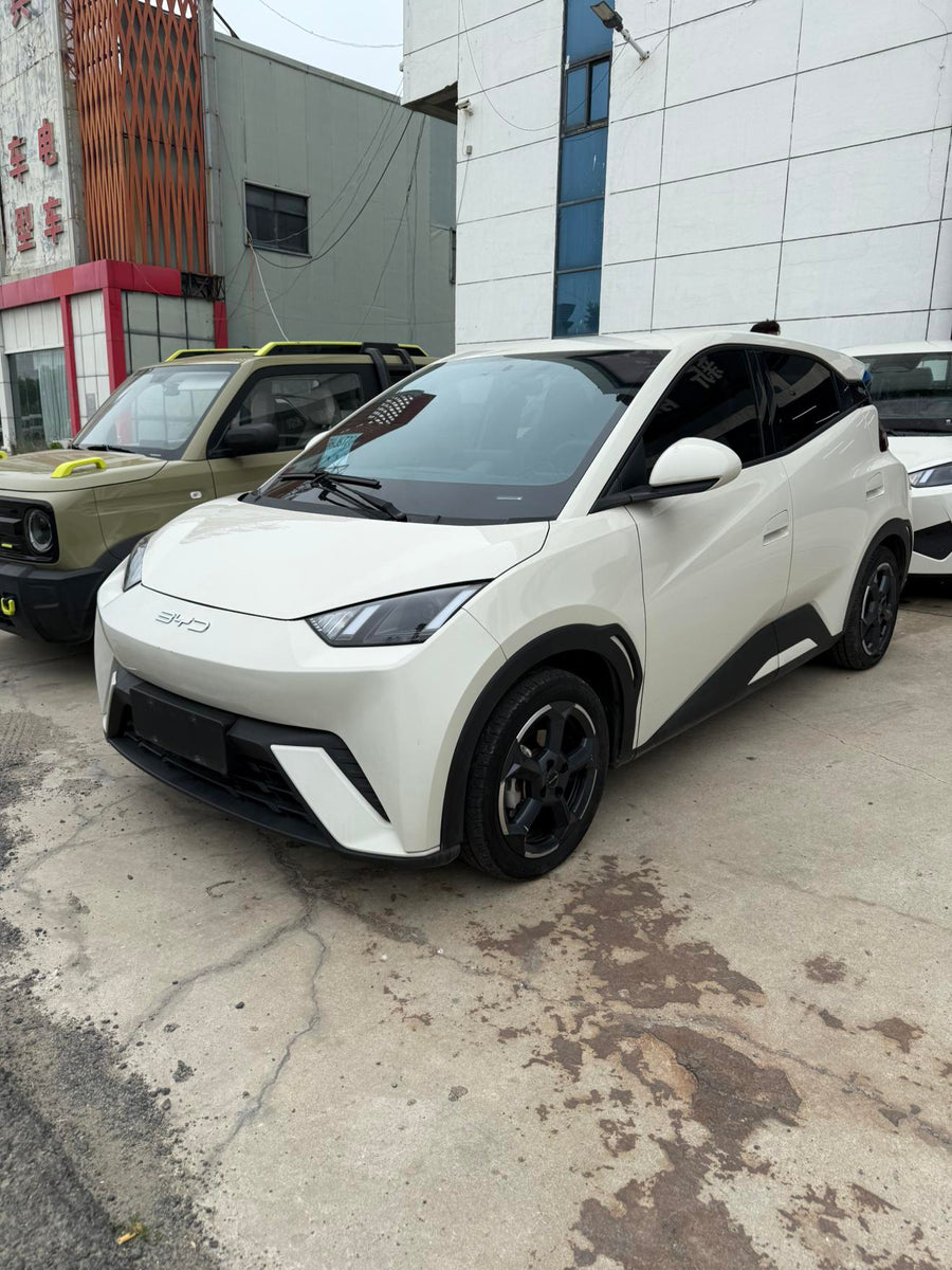 BYD Seagull 2025 Conducción Inteligente 305KM Libertad — 1