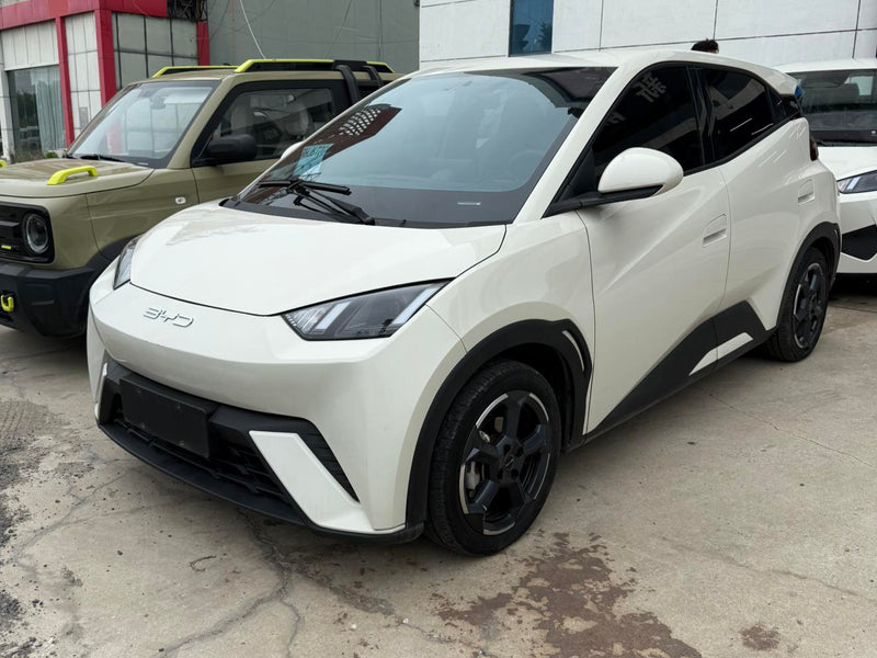 BYD Seagull 2025 Conducción Inteligente 305KM Libertad — 1